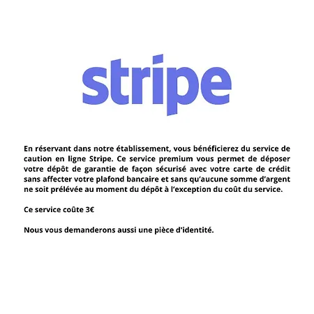 Apartamento T3 Hypercentre Avec Parking Gratuit Et Terrasse